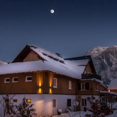 Feriehus Am - - Salzkammergut Obertraun