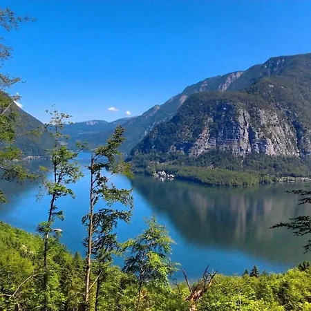Casa vacanze Am - - Salzkammergut Obertraun